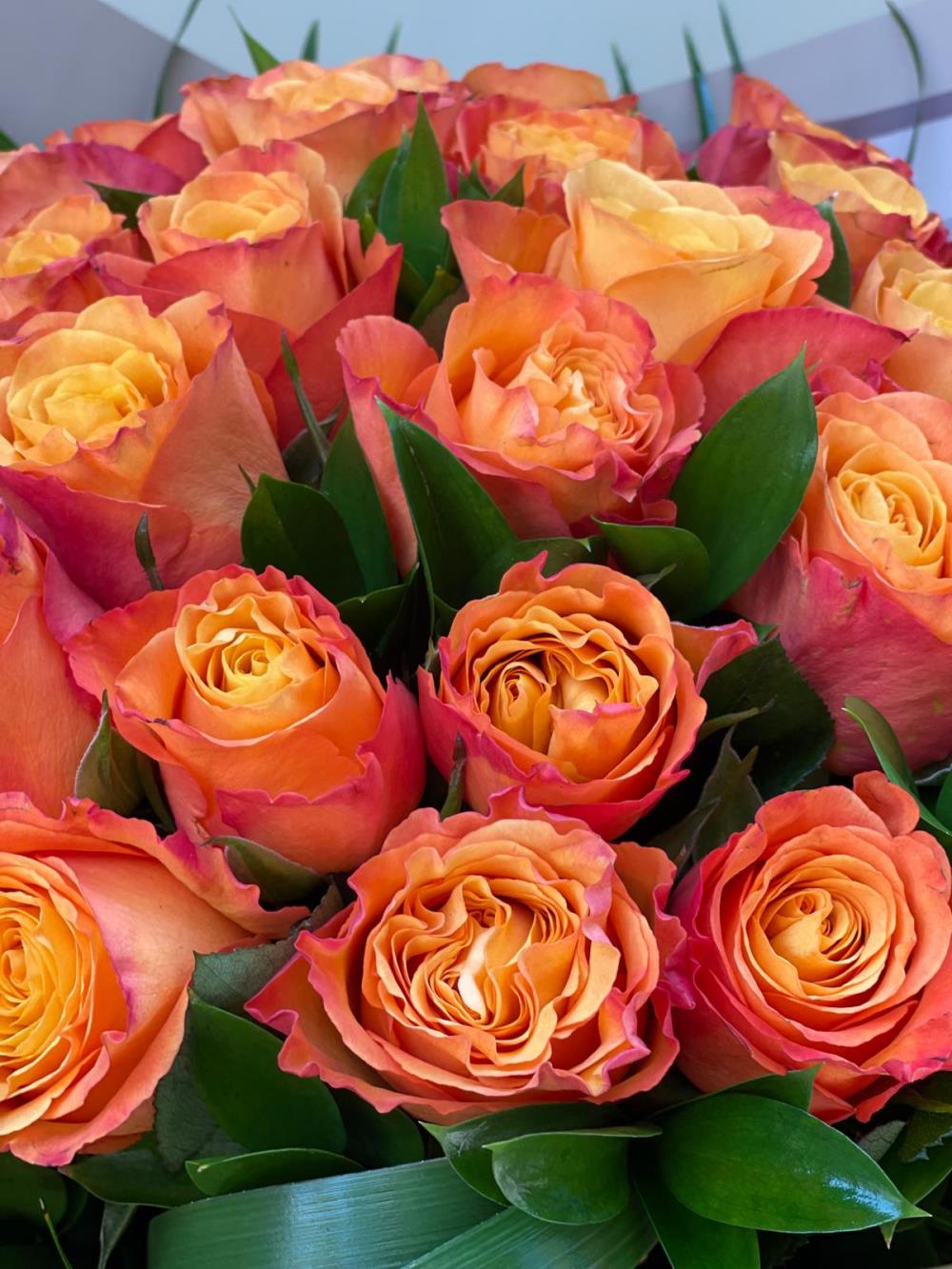 Confidental Orange Rose